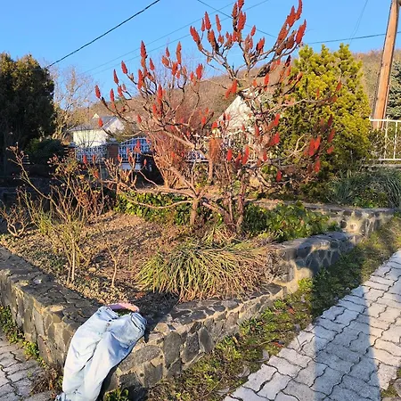 Διαμέρισμα Mogyoros Apartmanhaz *